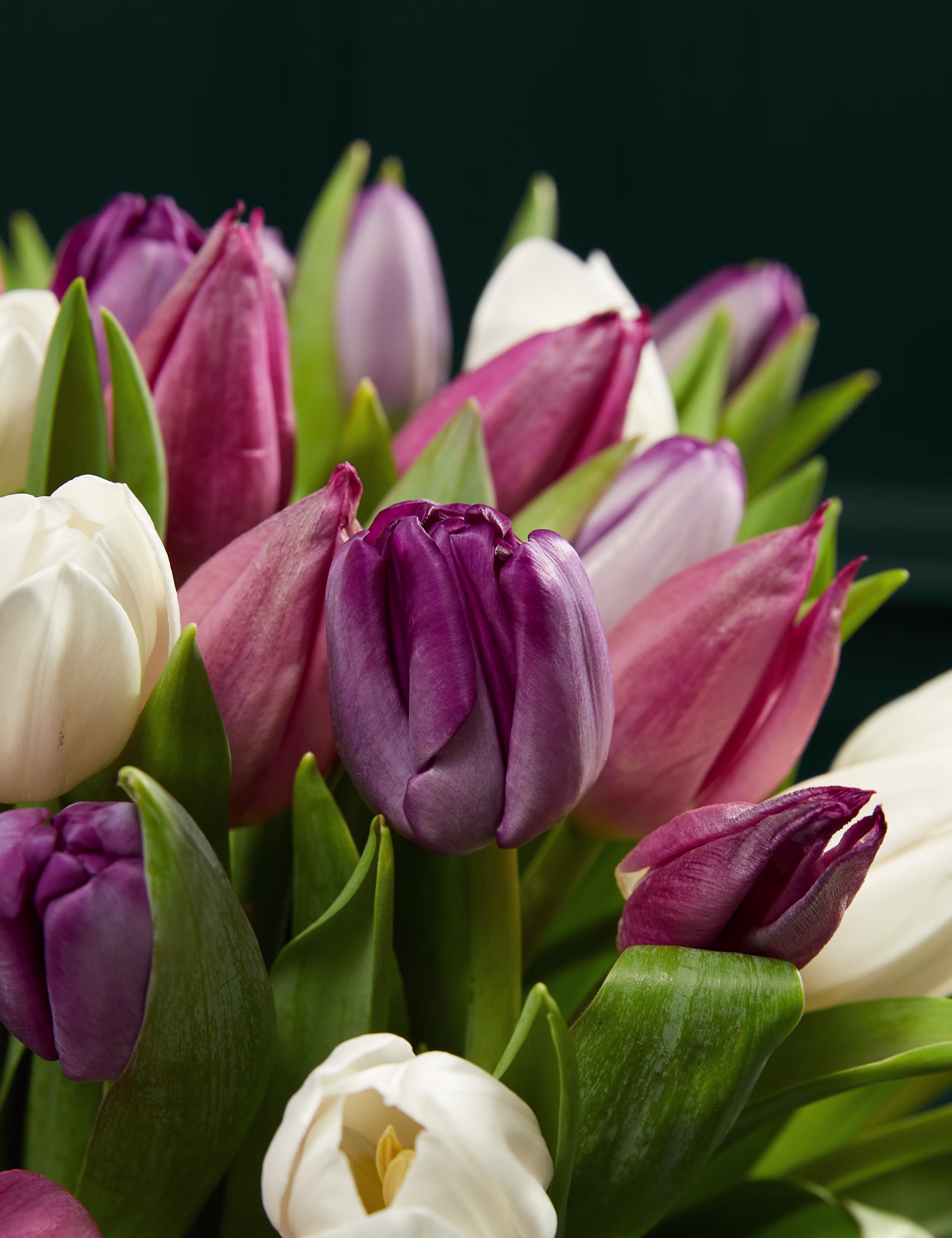 Pastel Lalelerden Oluşan Zengin Buket